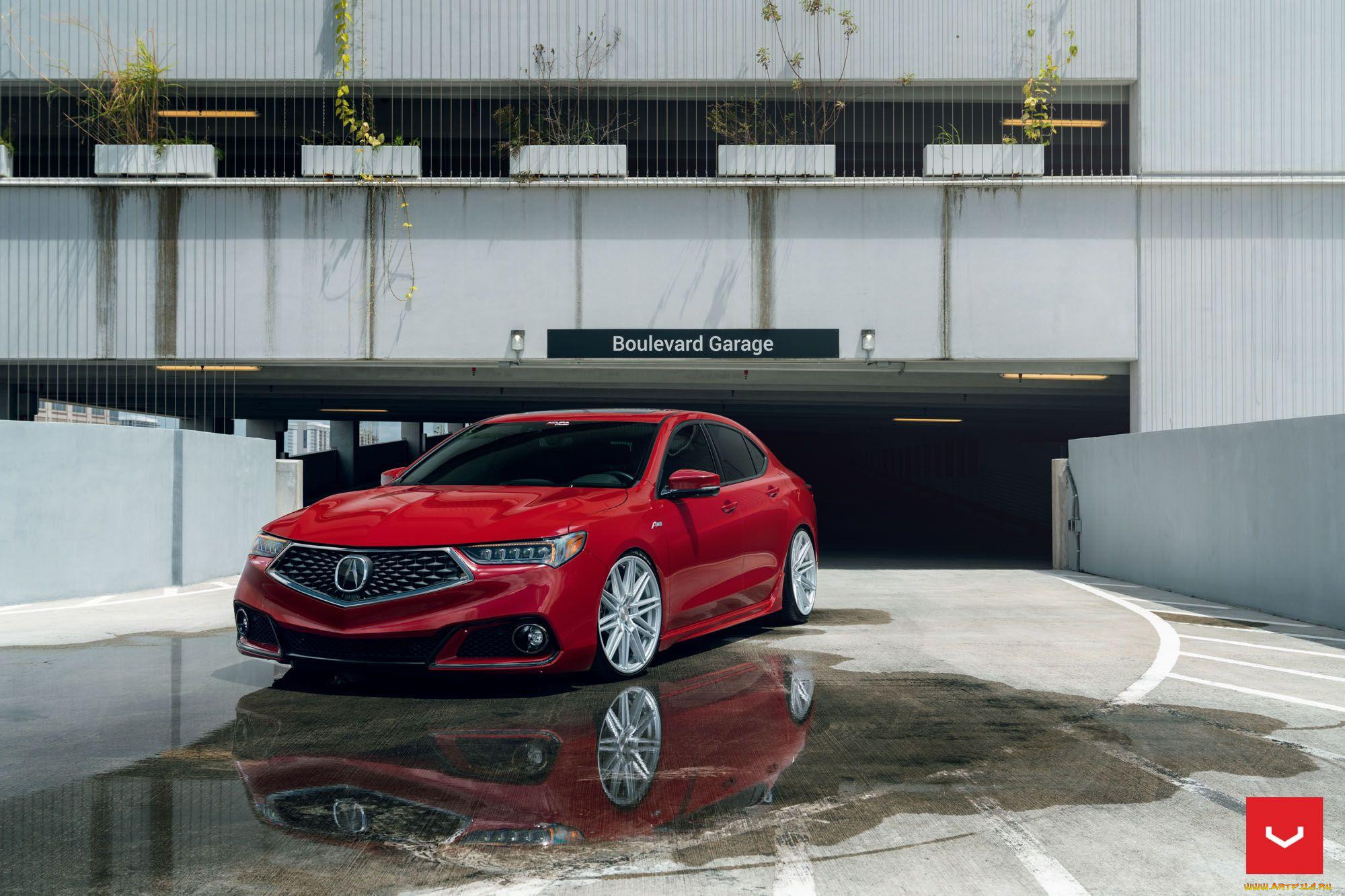 acura tlx a-spec on vossen wheels , cv10,  2019, , acura, tlx, a-spec, , vossen, wheels, 2019, , 